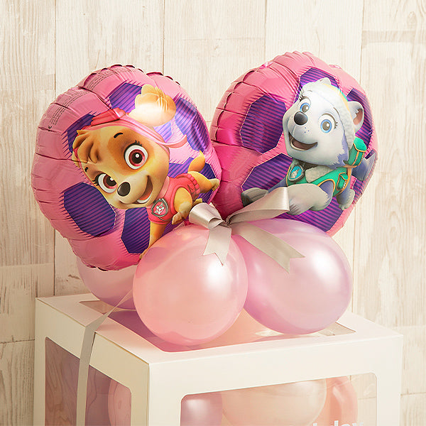 スカイ＆エベレスト（パウ・パトロール）バルーンキューブボックス