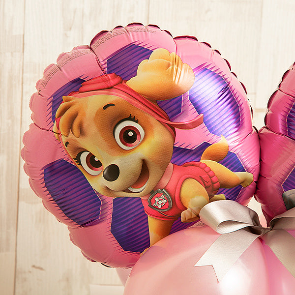 スカイ＆エベレスト（パウ・パトロール）バルーンキューブボックス