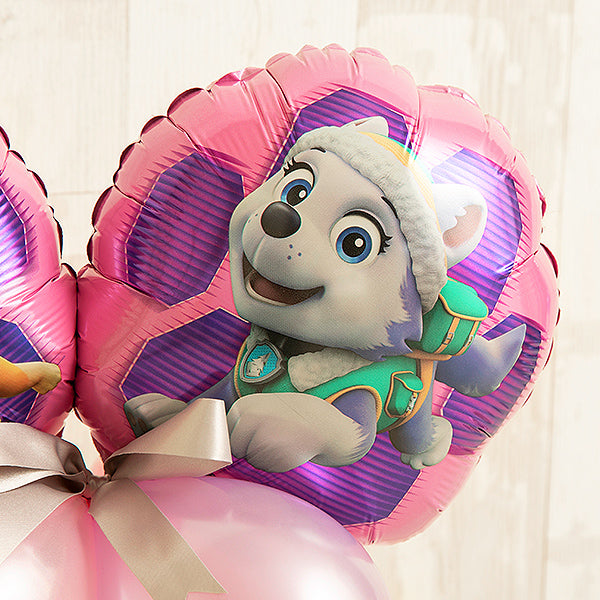 スカイ＆エベレスト（パウ・パトロール）バルーンキューブボックス